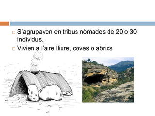 S’agrupaven en tribus nòmades de 20 o 30 individus.Vivien a l’airelliure, coves o abrics