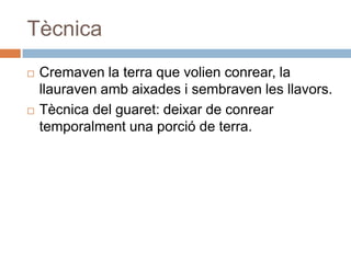 TècnicaCremaven la terra que volien conrear, la llauravenambaixades i sembraven les llavors.Tècnica del guaret: deixar de conrear temporalment una porció de terra.