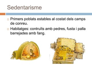 SedentarismePrimerspoblats estables al costatdelscamps de conreu.Habitatges: contruïtsambpedres, fusta i palla barrejadesambfang. 