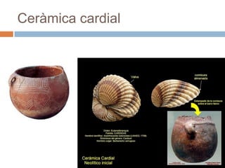 Ceràmicacardial
