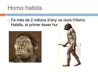 Homo habilisFa més de 2 milionsd’any va viurel’HomoHabilis, el primer ésserhumà.