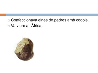 Confeccionavaeines de pedresambcòdols.Va viure a l’Àfrica.