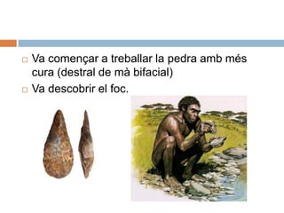 Va començar a treballar la pedraambmés cura (destral de mà bifacial)Va descobrir el foc.