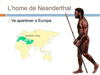 L’home de NeanderthalVa aparèixer a Europa.