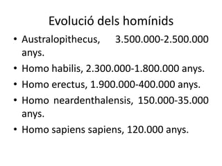 Evolució dels homínids
• Australopithecus, 3.500.000-2.500.000
  anys.
• Homo habilis, 2.300.000-1.800.000 anys.
• Homo erectus, 1.900.000-400.000 anys.
• Homo neardenthalensis, 150.000-35.000
  anys.
• Homo sapiens sapiens, 120.000 anys.
 