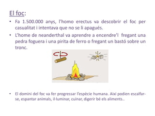 El foc:
• Fa 1.500.000 anys, l’homo erectus va descobrir el foc per
  casualitat i intentava que no se li apagués.
• L’home de neanderthal va aprendre a encendre’l fregant una
  pedra foguera i una pirita de ferro o fregant un bastó sobre un
  tronc.




• El domini del foc va fer progressar l’espècie humana. Així podien escalfar-
  se, espantar animals, il·luminar, cuinar, digerir bé els aliments..
 