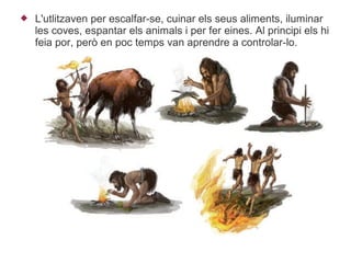    L'utlitzaven per escalfar-se, cuinar els seus aliments, iluminar
    les coves, espantar els animals i per fer eines. Al principi els hi
    feia por, però en poc temps van aprendre a controlar-lo.
 