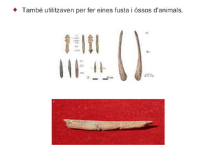    També utilitzaven per fer eines fusta i óssos d'animals.
 