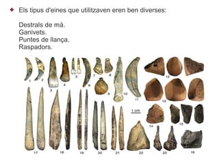    Els tipus d'eines que utilitzaven eren ben diverses:

    Destrals de mà.
    Ganivets.
    Puntes de llança.
    Raspadors.
 