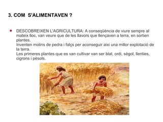 3. COM S'ALIMENTAVEN ?


   DESCOBREIXEN L'AGRICULTURA: A conseqüència de viure sempre al
    mateix lloc, van veure que de les llavors que llençaven a terra, en sortien
    plantes.
    Inventen molins de pedra i falçs per aconseguir aixi una millor explotació de
    la terra.
    Les primeres plantes que es van cultivar van ser blat, ordi, sègol, llenties,
    cigrons i pèsols.
 