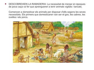    DESCOBREIXEN LA RAMADERIA: La necessitat de menjar en èpoques
    de poca caça va fer que aprengueren a tenir animals vigilats i tancats.

    Comencen a domesticar els animals per disposar d'ells segons les seves
    necessitats. Els primers que domesticaren van ser el gos, les cabres, les
    ovelles i els porcs.
 