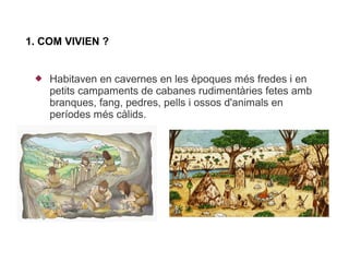 1. COM VIVIEN ?


    Habitaven en cavernes en les èpoques més fredes i en
     petits campaments de cabanes rudimentàries fetes amb
     branques, fang, pedres, pells i ossos d'animals en
     períodes més càlids.
 