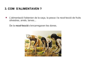 3. COM S'ALIMENTAVEN ?


   L'alimentació l'obtenien de la caça, la pesca i la recol·lecció de fruits
    silvestres, arrels, larves...

    De la recol·lecció s'encarregaven les dones.
 