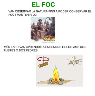 EL FOC
VAN OBSERVAR LA NATURA FINS A PODER CONSERVAR EL
FOC I MANTENIR-LO.

MÉS TARD VAN APRENDRE A ENCENDRE EL FOC AMB DOS
FUSTES O DOS PEDRES.

 