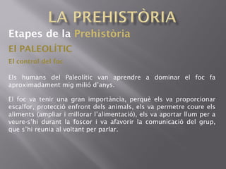 Etapes de la Prehistòria
El PALEOLÍTIC
Els humans del Paleolític van aprendre a dominar el foc fa
aproximadament mig milió d’anys.
El control del foc
El foc va tenir una gran importància, perquè els va proporcionar
escalfor, protecció enfront dels animals, els va permetre coure els
aliments (ampliar i millorar l’alimentació), els va aportar llum per a
veure-s’hi durant la foscor i va afavorir la comunicació del grup,
que s’hi reunia al voltant per parlar.
 