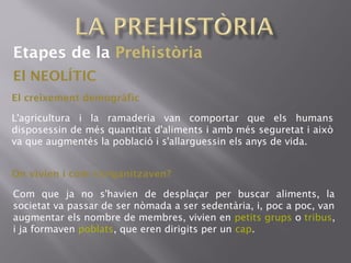 Etapes de la Prehistòria
El NEOLÍTIC
El creixement demogràfic
L'agricultura i la ramaderia van comportar que els humans
disposessin de més quantitat d'aliments i amb més seguretat i això
va que augmentés la població i s'allarguessin els anys de vida.
Com que ja no s'havien de desplaçar per buscar aliments, la
societat va passar de ser nòmada a ser sedentària, i, poc a poc, van
augmentar els nombre de membres, vivien en petits grups o tribus,
i ja formaven poblats, que eren dirigits per un cap.
On vivien i com s'organitzaven?
 