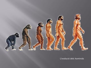 L'evolució dels homínids
 