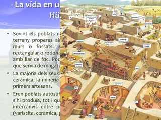 • Sovint els poblats neolítics es situaven dalt d'elevacions del
terreny properes als cursos de l'aigua i els protegien amb
murs o fossats. Els habitatges podien ser de planta
rectangular o rodona i estaven formats per una sala polivalent
amb llar de foc. Podien disposar també d'una petita cambra
que servia de magatzem.
• La majoria dels seus pobladors eren agricultors i ramaders i la
ceràmica, la mineria i els teixits van comportar l'aparició dels
primers artesans.
• Eren poblats autosuficients, és a dir, s'abastien amb tot el que
s'hi produïa, tot i que hi ha indicis que també es feien alguns
intercanvis entre poblats, sobretot d'objectes de prestigi
(variscita, ceràmica, petxines...).
La vida en un poblat neolític: Çatal
Hüyük (Turquia)
 