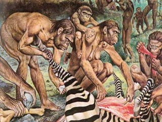 Les societats de caçadors - recol·lectors
• L’aparició dels primers éssers humans marca el començament
del primer període prehistòric: el Paleolític. Durant aquest
període, els éssers humans eren depredadors, vivien d’allò
que els oferia la natura: caça, pesca, recol·lecció. Aquests
grups humans eren nòmades: es desplaçaven sovint buscant
menjar, refugi o fugint dels perills.
El Paleolític: la caça i la recol·lecció
 