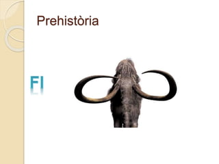 Prehistòria
 
