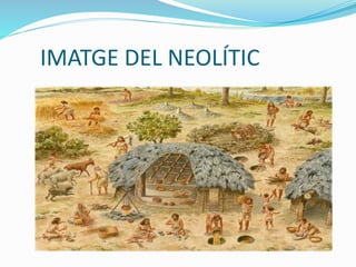 IMATGE DEL NEOLÍTIC
 