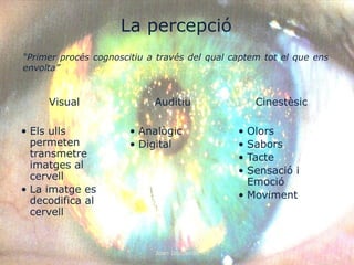 La percepció
“Primer procés cognoscitiu a través del qual captem tot el que ens
envolta”


     Visual                 Auditiu               Cinestèsic

• Els ulls             • Analògic             • Olors
  permeten             • Digital              • Sabors
  transmetre                                  • Tacte
  imatges al
                                              • Sensació i
  cervell
                                                Emoció
• La imatge es
                                              • Moviment
  decodifica al
  cervell


                            Joan Izquierdo
 
