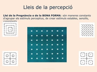 Lleis de la percepció
Llei de la Pregnància o de la BONA FORMA: són maneres constants
d'agrupar els estímuls perceptius, de crear estímuls estables, senzills,
consistents




                                Joan Izquierdo
 