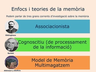Enfocs i teories de la memòria
  Podem parlar de tres grans corrents d‟investigació sobre la memòria



                         Associacionista
 Ebbinghaus



               Cognoscitiu (de processament
                    de la informació)
    Barlett



                      Model de Memòria
                       Multimagatzem
                               Joan Izquierdo
Atkinson y Shiffrin
 