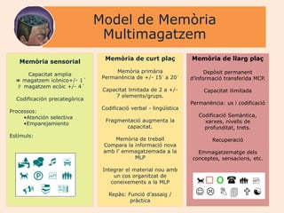Model de Memòria
                                Multimagatzem
                                 Memòria de curt plaç              Memòria de llarg plaç
   Memòria sensorial
                                     Memòria primària                    Depòsit permanent
     Capacitat amplia
                                Permanència de +/- 15´ a 20´       d‟informació transferida MCP.
   magatzem icònico+/- 1´
   magatzem ecòic +/- 4´
                                Capacitat limitada de 2 a +/-           Capacitat ilimitada
                                    7 elements/grups.
  Codificación precategòrica
                                                                   Permanència: us i codificació
                                Codificació verbal - lingüística
Processos:
     •Atención selectiva                                              Codificació Semàntica,
                                 Fragmentació augmenta la               xarxes, nivells de
     •Emparejamiento
                                        capacitat.                      profunditat, trets.
Estímuls:
                                    Memòria de treball                     Recuperació
                                Compara la informació nova
                                amb l‟ emmagatzemada a la            Emmagatzematge dels
                                           MLP                     conceptes, sensacions, etc.
   
                                Integrar el material nou amb
                                un cos organitzat de
                                   coneixements a la MLP              O   
                               Repàs: Funció d‟assaig /             
                                          pràctica
                                         Joan Izquierdo
 