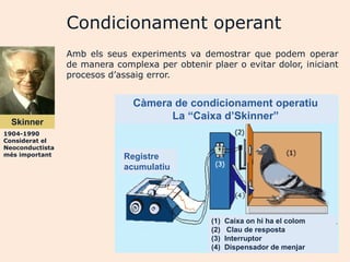 Condicionament operant
                 Amb els seus experiments va demostrar que podem operar
                 de manera complexa per obtenir plaer o evitar dolor, iniciant
                 procesos d‟assaig error.


                               Càmera de condicionament operatiu
                                     La “Caixa d’Skinner”
  Skinner
1904-1990
Considerat el
Neoconductista
més important                Registre
                             acumulatiu




                                                 (1)   Caixa on hi ha el colom
                                                 (2)    Clau de resposta
                                                 (3)   Interruptor
                                                 (4)   Dispensador de menjar
 