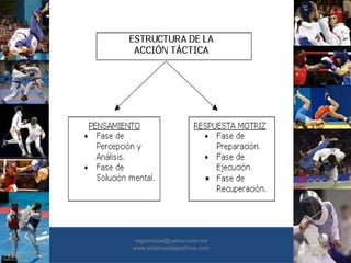 •30/01/2015
•32
•pgomezca@yahoo.com.mx
www.sistemasdeportivos.com
 