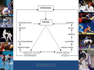 •30/01/2015
•34
•pgomezca@yahoo.com.mx
www.sistemasdeportivos.com
 