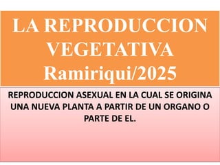 LA REPRODUCCION
VEGETATIVA
Ramiriqui/2025
REPRODUCCION ASEXUAL EN LA CUAL SE ORIGINA
UNA NUEVA PLANTA A PARTIR DE UN ORGANO O
PARTE DE EL.
 