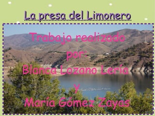 La presa del Limonero

Trabajo realizado
por:
Blanca Lozano Lería
y
María Gómez Zayas

 