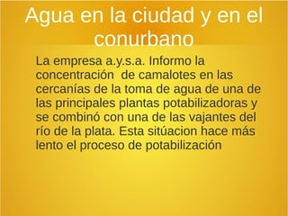 Agua en la ciudad y en el
conurbano
La empresa a.y.s.a. Informo la
concentración de camalotes en las
cercanías de la toma de agua de una de
las principales plantas potabilizadoras y
se combinó con una de las vajantes del
río de la plata. Esta sitúacion hace más
lento el proceso de potabilización
 