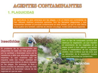 En agricultura, la gran amenaza son las plagas, y en el intento por controlarlas se
han utilizado distintos productos químicos. Son los llamados plaguicidas y que
representan también el principal contaminante en este ámbito, ya que no sólo afecta
a los suelos sino también, además de afectar a la plaga, incide sobre otras especies.
El problema de la contaminación por
plaguicidas es cada vez más grave tanto
por la cantidad y diversidad como por la
resistencia a ellos que adquieren algunas
especies, lo que ocasiona que se
requiera cada vez mayor cantidad del
plaguicida para obtener el efecto deseado
en las plagas. Sin embargo, la flora y
fauna oriundas es afectada cada vez más
destruyendo la diversidad natural de las
regiones en que se usan.
Son un tipo de compuesto químico que
destruye la vegetación, ya que impiden
el crecimiento de los vegetales en su
etapa juvenil o bien ejercen una acción
sobre el metabolismo de los vegetales
adultos. Esto conlleva que las aves que
se alimentan de la vegetación rociada
con estos herbicidas se contaminen.
 
