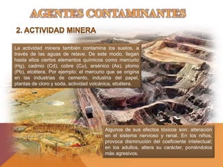 La actividad minera también contamina los suelos, a
través de las aguas de relave. De este modo, llegan
hasta ellos ciertos elementos químicos como mercurio
(Hg), cadmio (Cd), cobre (Cu), arsénico (As), plomo
(Pb), etcétera. Por ejemplo: el mercurio que se origina
en las industrias de cemento, industria del papel,
plantas de cloro y soda, actividad volcánica, etcétera.
Algunos de sus efectos tóxicos son: alteración
en el sistema nervioso y renal. En los niños,
provoca disminución del coeficiente intelectual;
en los adultos, altera su carácter, poniéndolos
más agresivos.
 