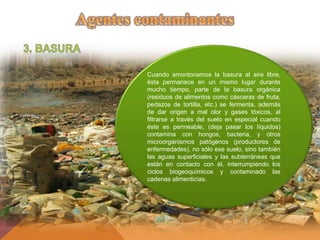 Cuando amontonamos la basura al aire libre,
ésta permanece en un mismo lugar durante
mucho tiempo, parte de la basura orgánica
(residuos de alimentos como cáscaras de fruta,
pedazos de tortilla, etc.) se fermenta, además
de dar origen a mal olor y gases tóxicos, al
filtrarse a través del suelo en especial cuando
éste es permeable, (deja pasar los líquidos)
contamina con hongos, bacteria, y otros
microorganismos patógenos (productores de
enfermedades), no sólo ese suelo, sino también
las aguas superficiales y las subterráneas que
están en contacto con él, interrumpiendo los
ciclos biogeoquímicos y contaminado las
cadenas alimenticias.
 