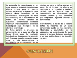 La presencia de contaminantes en un
suelo supone la existencia de potenciales
efectos nocivos para el hombre,
la fauna en general y la vegetación. Estos
efectos tóxicos dependerán de las
características toxicológicas de cada
contaminante y de la concentración del
mismo. La enorme variedad de
sustancias contaminantes existentes
implica un amplio espectro de afecciones
toxicológicas cuya descripción no es
objeto de este trabajo.
De forma general, la presencia de
contaminantes en el suelo se refleja de
forma directa sobre la vegetación
induciendo su degradación, la reducción
del número de especies presentes en ese
suelo, y más frecuentemente la
acumulación de contaminantes en las
plantas, sin generar daños notables en
estas. En el hombre, los efectos se
restringen a la ingestión y contacto
dérmico, que en algunos casos a
desembocado en intoxicaciones por
metales pesados y más fácilmente
por compuestos orgánicos volátiles o
semivolátiles.
Indirectamente, a través de la cadena
trófica, la incidencia de un suelo
contaminado puede ser más relevante.
Absorbidos y acumulados por la
vegetación, los contaminantes del suelo
pasan a la fauna en dosis muy superiores
a las que podrían hacerlo por ingestión
de tierra.
 