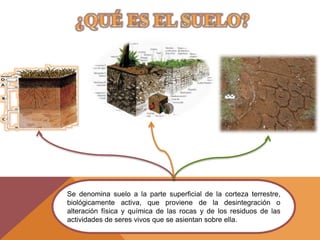 Se denomina suelo a la parte superficial de la corteza terrestre,
biológicamente activa, que proviene de la desintegración o
alteración física y química de las rocas y de los residuos de las
actividades de seres vivos que se asientan sobre ella.
 