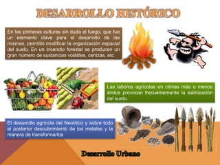En las primeras culturas sin duda el fuego, que fue
un elemento clave para el desarrollo de las
mismas, permitió modificar la organización espacial
del suelo. En un incendio forestal se producen un
gran número de sustancias volátiles, cenizas, etc
El desarrollo agrícola del Neolítico y sobre todo
el posterior descubrimiento de los metales y la
manera de transformarlos
Las labores agrícolas en climas más o menos
áridos provocan frecuentemente la salinización
del suelo.
 