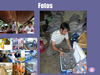 Fotos
