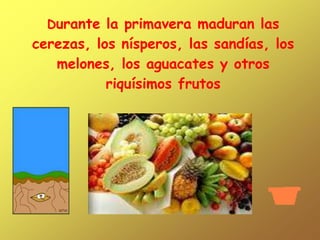 Durante la primavera maduran las
cerezas, los nísperos, las sandías, los
   melones, los aguacates y otros
           riquísimos frutos
 