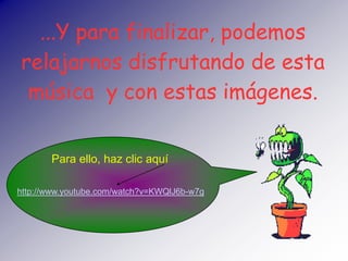 ...Y para finalizar, podemos
relajarnos disfrutando de esta
 música y con estas imágenes.


       Para ello, haz clic aquí

http://www.youtube.com/watch?v=KWQlJ6b-w7g
 