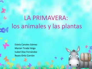 LA PRIMAVERA:
los animales y las plantas

 Estela Canales Gómez
 Marian Tirado Veiga
 Isabel Diaz Fernández
 Reyes Ortiz Carrión
 