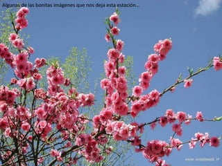 Algunas de las bonitas imágenes que nos deja esta estación…