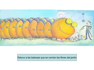 Detuvo a las babosas que se comían las flores del jardín 