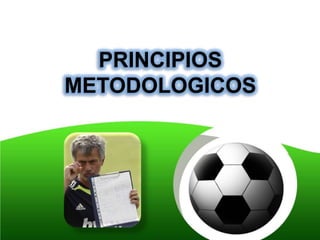 PRINCIPIOS
METODOLOGICOS
 