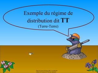 Exemple du régime de
 distribution dit TT
         (Terre-Terre)




     Stage de sécurité électrique 2001- Aix Marseille.
     Equipe des formateurs de Physique appliquée
 