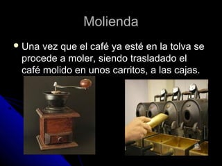 MoliendaMolienda
 Una vez que el café ya esté en la tolva seUna vez que el café ya esté en la tolva se
procede a moler, siendo trasladado elprocede a moler, siendo trasladado el
café molido en unos carritos, a las cajas.café molido en unos carritos, a las cajas.
 
